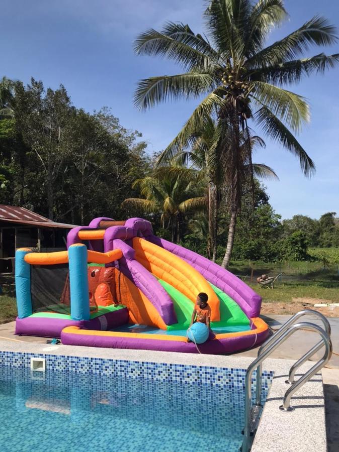 Homestay Bendang Hilir Kuala Nerang エクステリア 写真